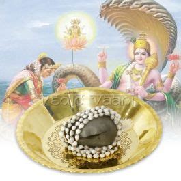 Buy Vishnu Sayanam Saligram Shila Vedic Vaani