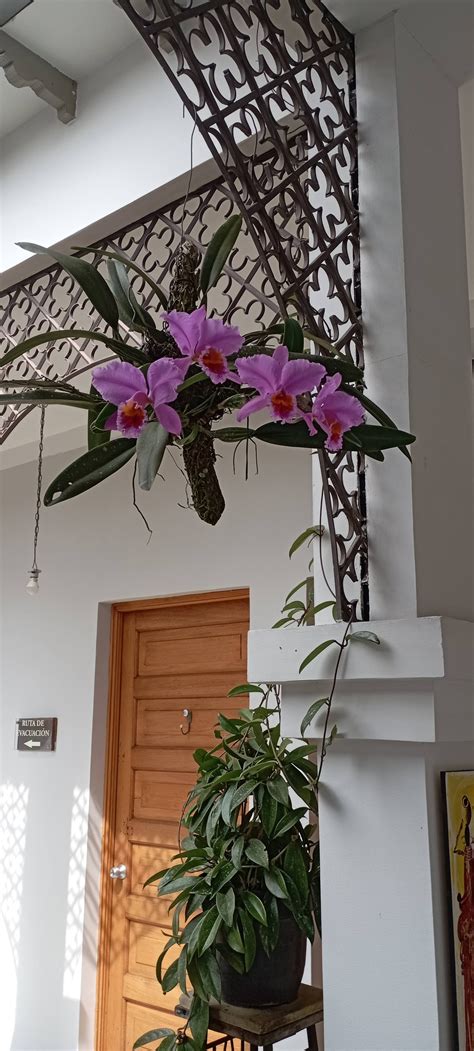 🔴 EN VIVO | Consejo de Redacción | 04 de abril de 2025 | #Consejo TA