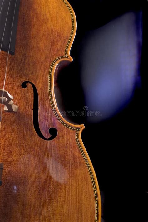 closeup   cello stock image image  concerto fret