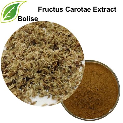 Wild Carrot Fruit Extractfructus Carotae Extract Carrots Ripe