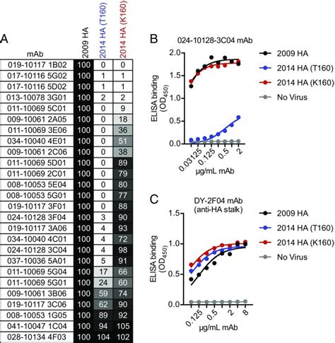 Contemporary H3n2 Influenza Viruses Have A Glycosylation Site That