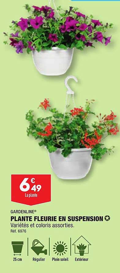 Promo Plante Fleurie En Suspension Gardenline Chez Aldi Icatalogue Fr