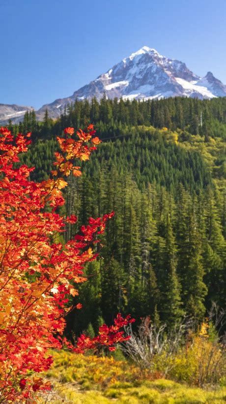 Molalla River Rambler Oregon S Mt Hood Territory