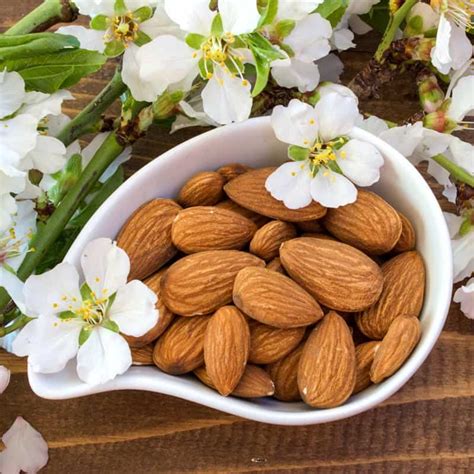 Shop Medicinal Foods | Natural Health Products | Official Site