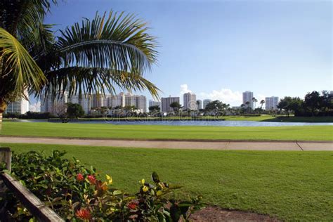 Miami Golf Course stock photo. Image of tropical, lake - 13047222