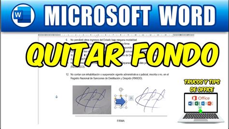 Quitar Fondo A Una Firma En Word Youtube