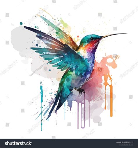 Hummingbird Watercolor Illustration Watercolor Isolated Bird Stock