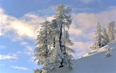 Fondos De Pantalla X Estaciones Del A O Invierno Cielo Nieve