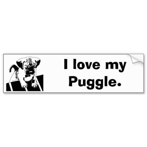 Bumper Sticker Zazzle Bumper Stickers Bumpers Stickers