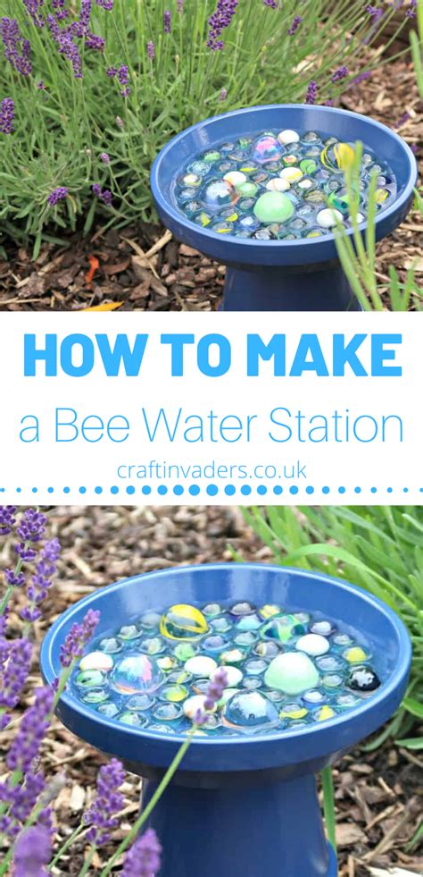 How To Make A Simple Bee Water Station For Your Garden Bee Friendly