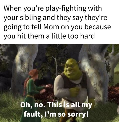 Making A Meme From Every Line In Shrek 2001 Day 498 R Shrekmemes