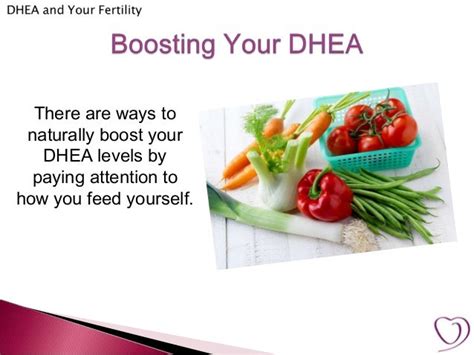 DHEA and Your Fertility