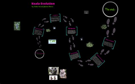 The Evolution of a Koala by Ade B on Prezi