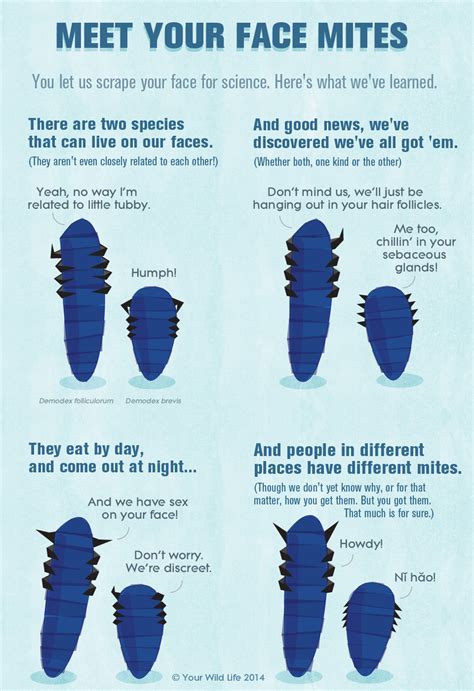 Meet Your Mites – Public Science Lab