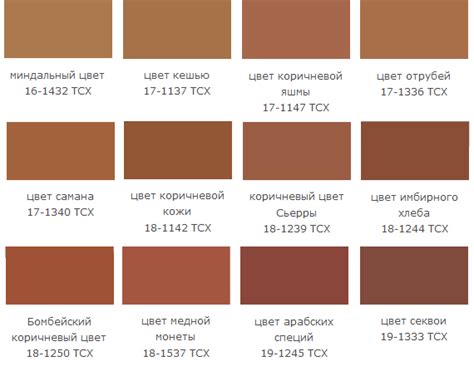 Бронзовый цвет и его сочетание | LOOKCOLOR