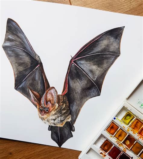 Watercolor Bat by me 2021 : r/Watercolor