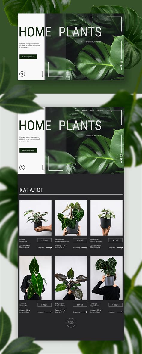 Интернет-магазин комнатных растений HOME PLANTS on Behance
