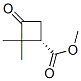 사이클로부탄카르복실산 2 2 디메틸 3 옥소 메틸 에스테르 1S 9CI CAS 527751 17 3