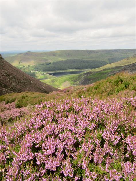 Dovestone Reservoir and Saddleworth Moor: Hiking in the North Peak ...