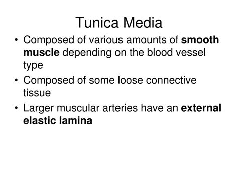 Ppt A Study Of Blood Vessels Powerpoint Presentation Free Download