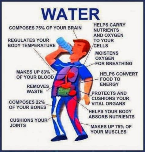 Properties of Water - Module 1: Conclusions