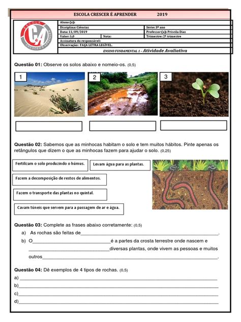 Atividades Sobre O Cultivo Do Solo 3 Ano - Atividades sobre Tipos de Solo - 3º Ano | PDF | Solo | Areia