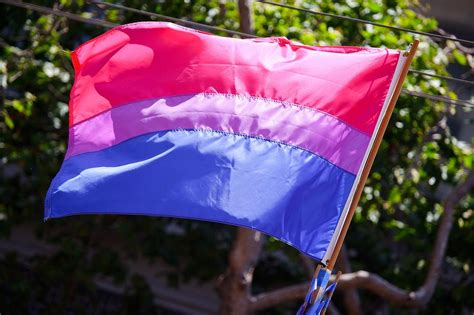 Anti Same Sex Marriage Campaigners Accidentally Copy Bisexual Pride