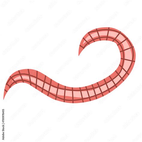 Pinworm Vector Element Stock Vector Adobe Stock