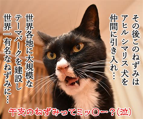 猫が十二支に選ばれなかったのは「ねずみ」のせいだった ｜ Dime アットダイム