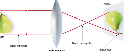 Lentes Concavos Y Convexos Todo Lo Que Necesitas Saber