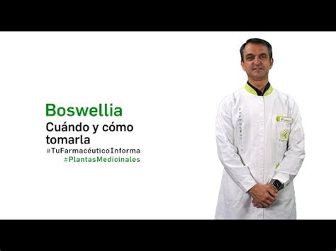 Descubre los asombrosos beneficios de la Boswellia para qué sirve y