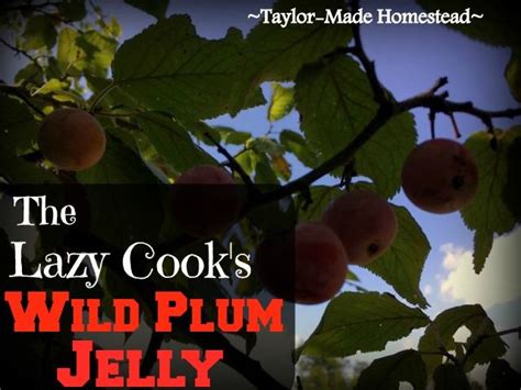 Wild Plum Jelly Recipe, No Pectin Needed! | ~ Texas Homesteader ...