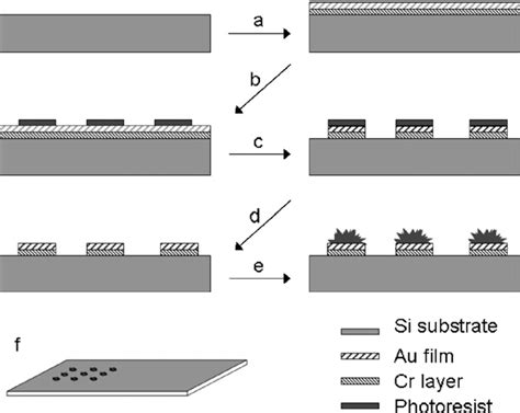 Figure From Pt Au Bimetallic Hierarchical Structure With Micro Nano