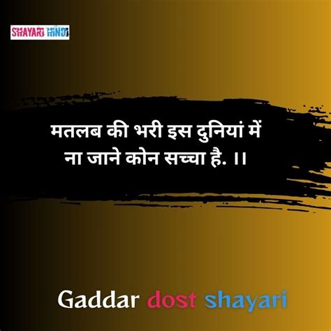 Gaddar Dost Shayari Status Shayari Hindi