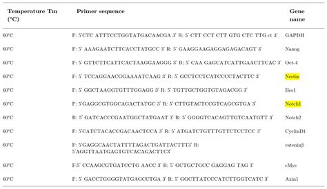 Antibody Against Nestin Santa Cruz Biotechnology Bioz