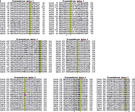 2 Multiple sequence alignment of the 7 transmembrane helices for the 17 ... 