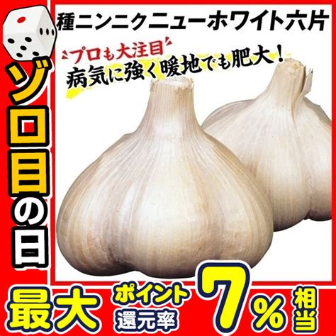 ニンニク 種球 ニューホワイト六片 1kg にんにくの種 ガーリック 家庭菜園 暖地向きニンニク 高級ニンニク ホワイト 育てやすい 簡単