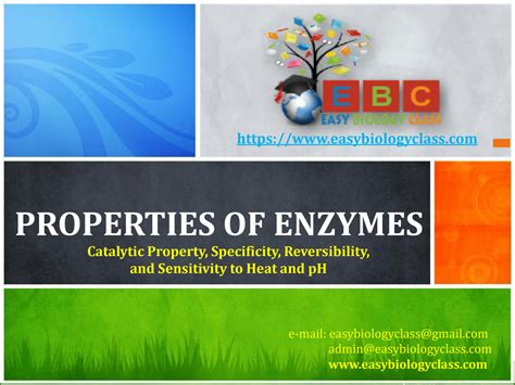 Solution Properties Of Enzymes Ppt Easybiologyclass Studypool