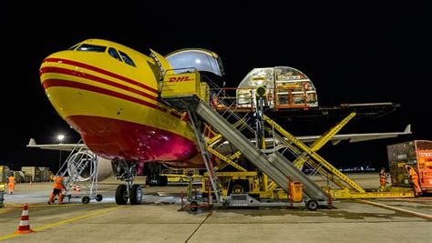 Dhl Express Express Package Abroad Online Shipping Calculation