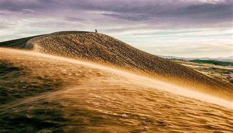 Dunas De Arena Definición Características Formación Tipos Y Más