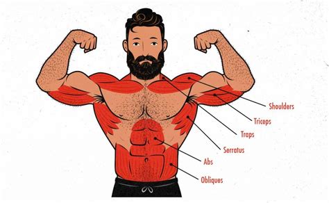 Ultimate Db Overhead Press Guide Boost Your Upper Body Strength