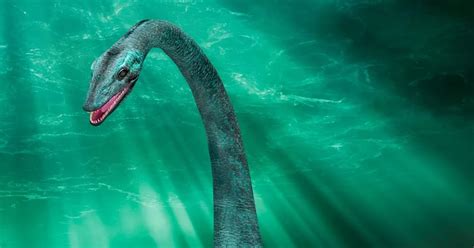 Bloke Claims He Chopped Up And Incinerated Loch Ness Monster S Stinking