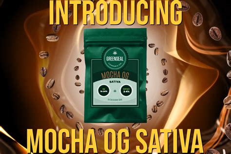 Introducing Mocha Og Greenseal Cannabis Co