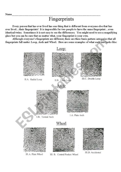 Fingerprints Esl Worksheet By Jswallia