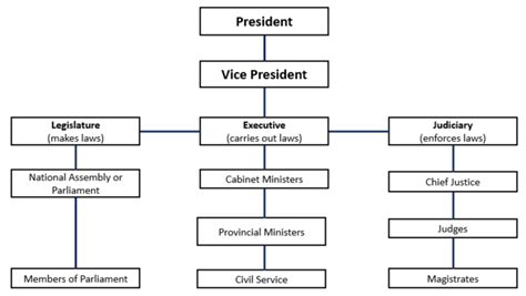 Three Branches Of The Zambian Governance System Source Grade Social