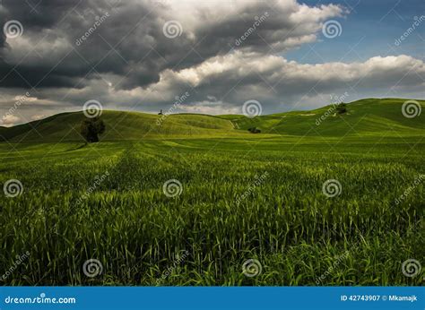 Wawes Verdes De Lanscape Toscano Toscana Toscana Italia Imagen De