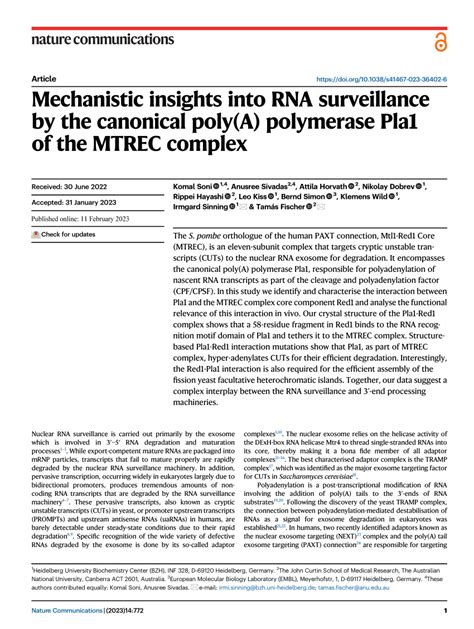 PDF Mechanistic Insights Into RNA Surveillance By The Canonical Poly