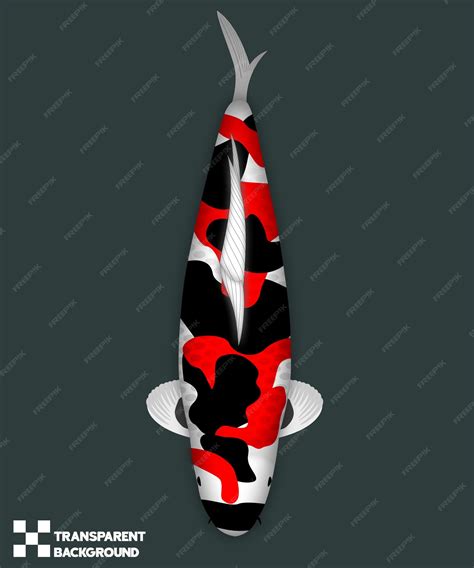 Premium PSD | Koi fish showa sanshoku