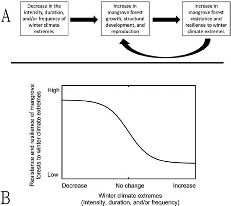 A Hypothetical Positive Feedback Loop That Would Be Induced By A Download Scientific Diagram