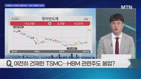 오후의 쟁점 산업은 붐 주가는 봄 Hbm 피크아웃 우려 Vs 인도 Ipo 기대 자동차